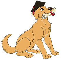 Clever Canines Dog Training